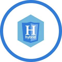 hybrid-TBI