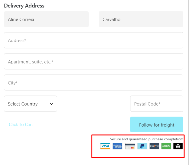 Custom Shopify Checkout-Payment 