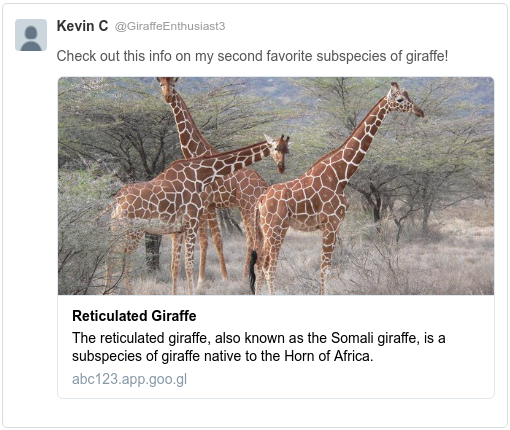 example of link preview