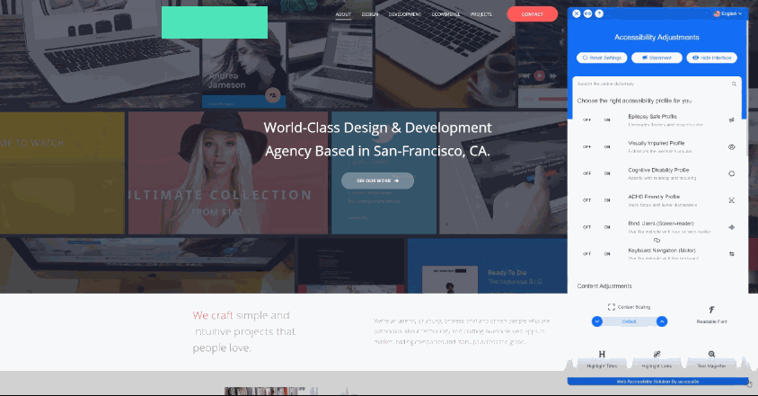 Web Accessibility Solution