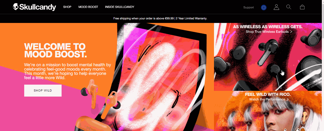 Skullcandy Interface Skullcandy Interface