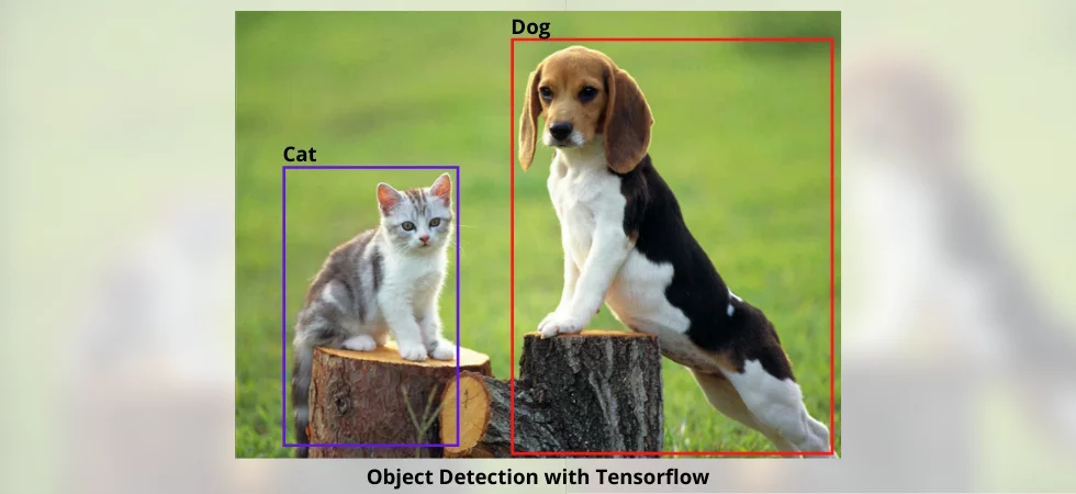Object detection with Tensorflow